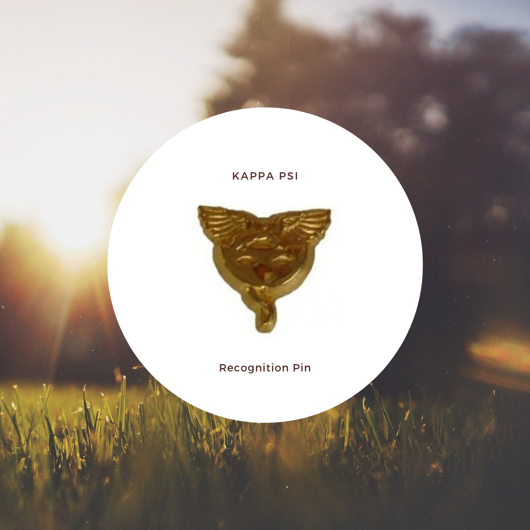 Recognition Pin (1).png